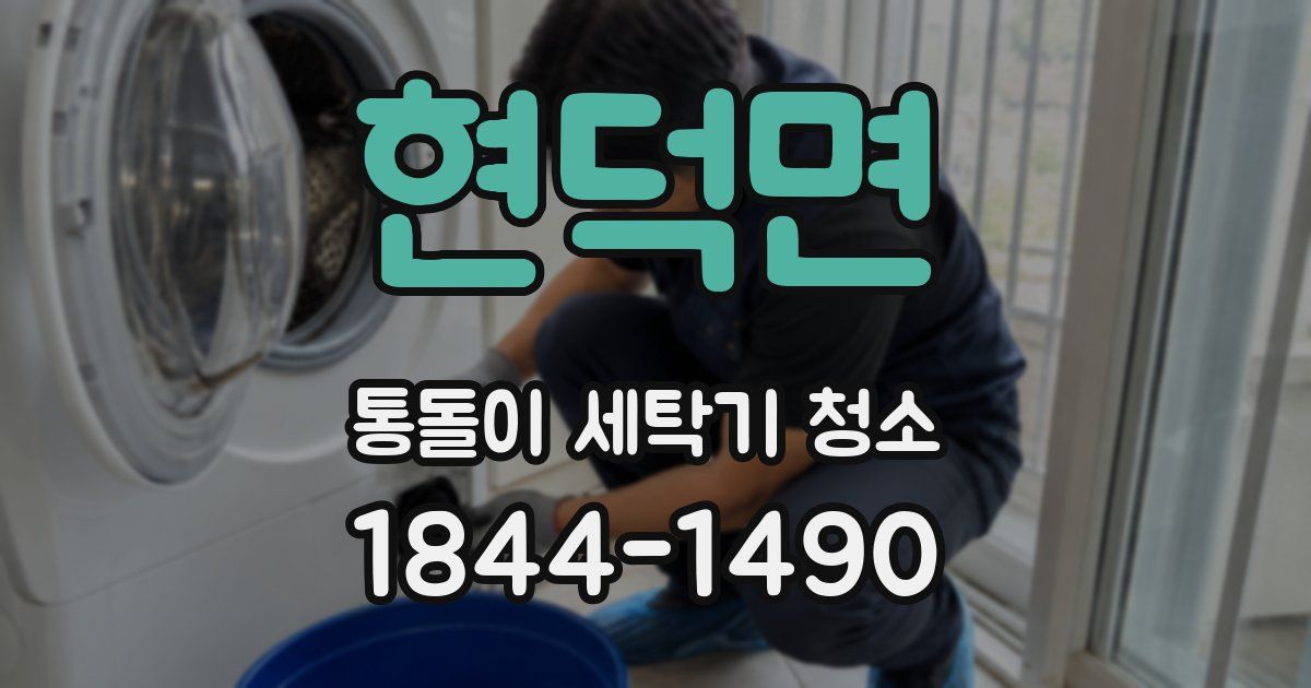 현덕면 통돌이 세탁기 청소
