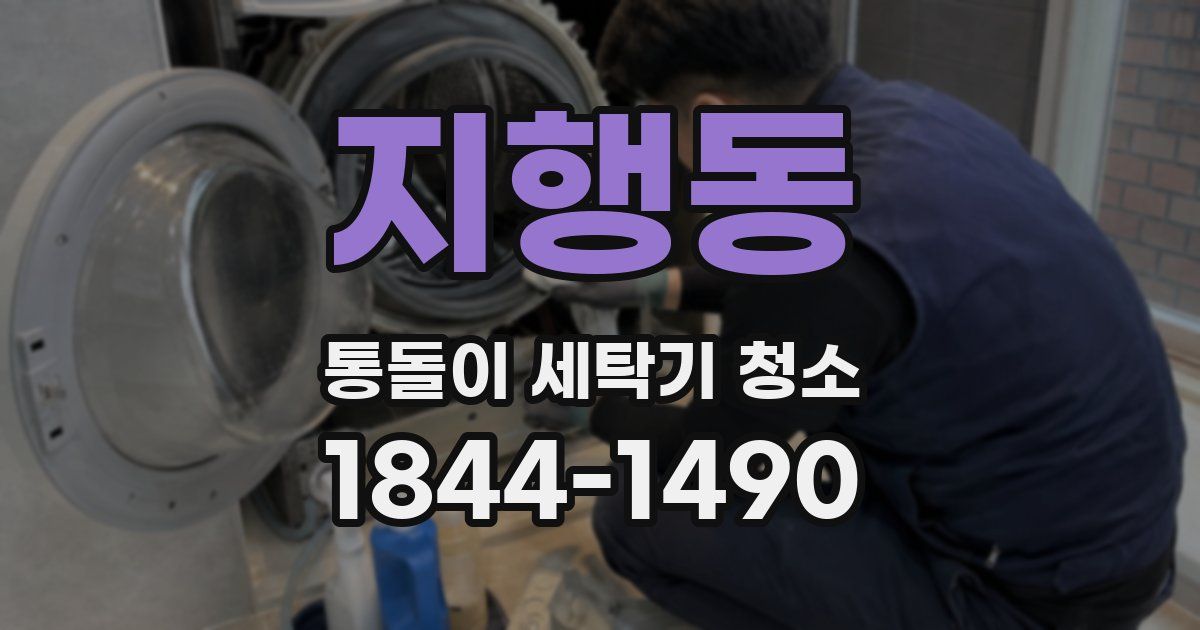 지행동 통돌이 세탁기 청소