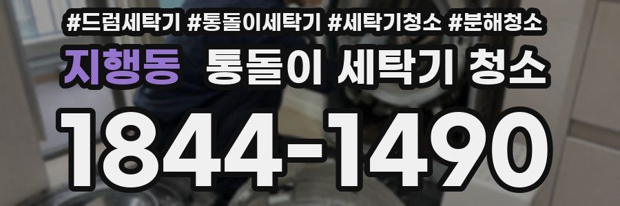 지행동 통돌이 세탁기 청소