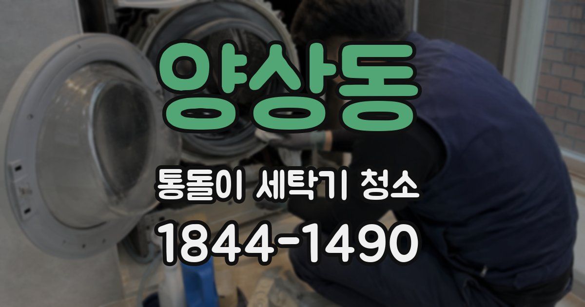 양상동 통돌이 세탁기 청소