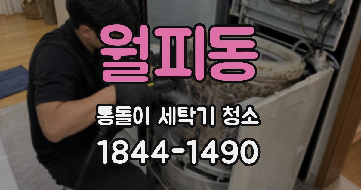 월피동 통돌이 세탁기 청소