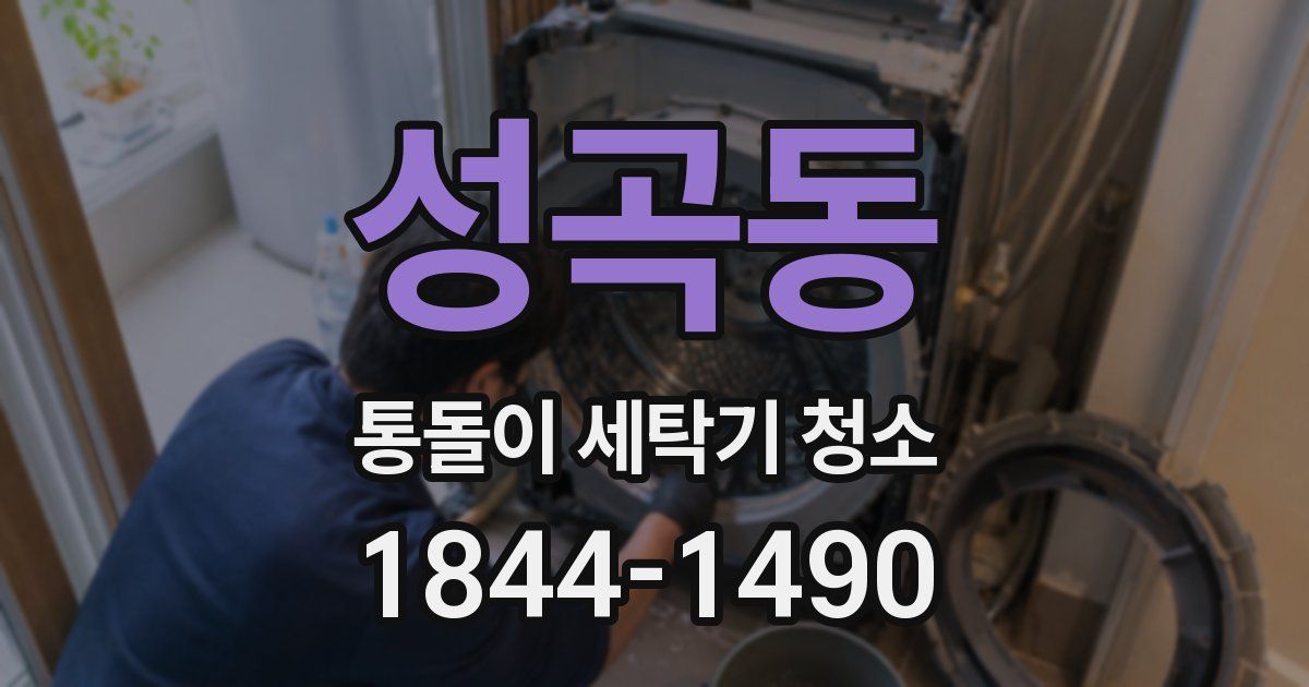 성곡동 통돌이 세탁기 청소