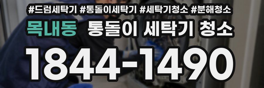 목내동 통돌이 세탁기 청소