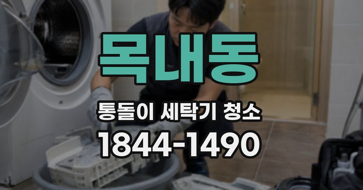 목내동 통돌이 세탁기 청소
