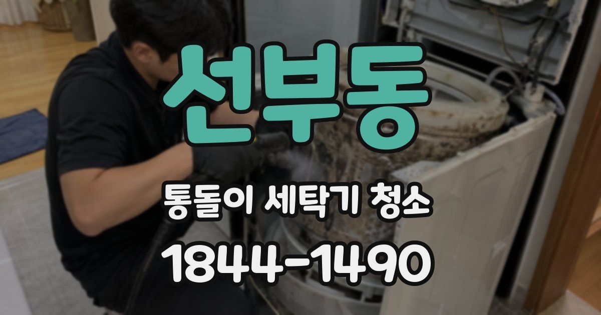 선부동 통돌이 세탁기 청소