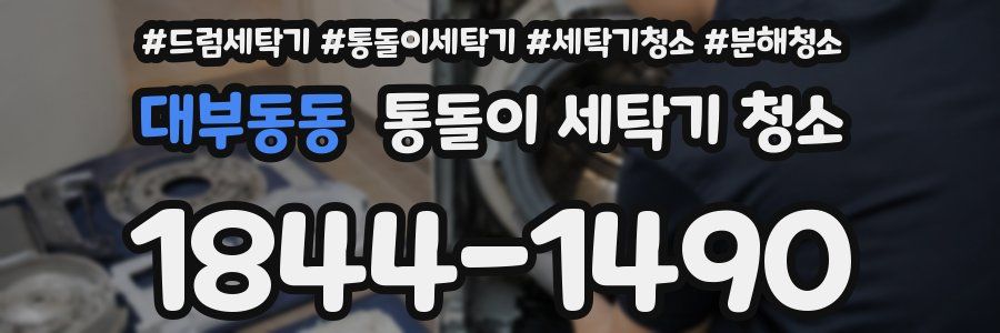 대부동동 통돌이 세탁기 청소