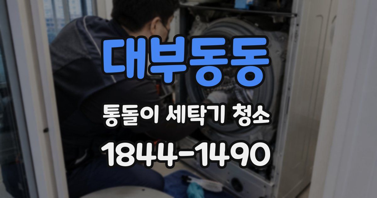 대부동동 통돌이 세탁기 청소