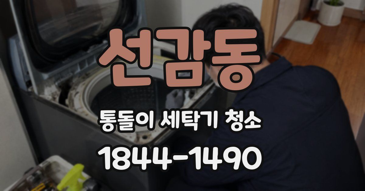 선감동 통돌이 세탁기 청소