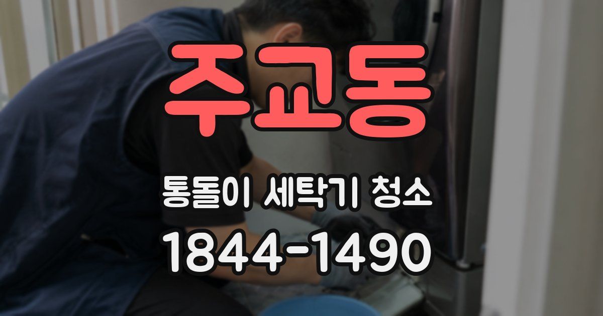 주교동 통돌이 세탁기 청소