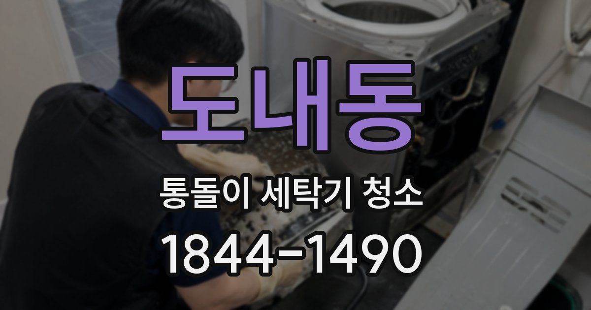 도내동 통돌이 세탁기 청소