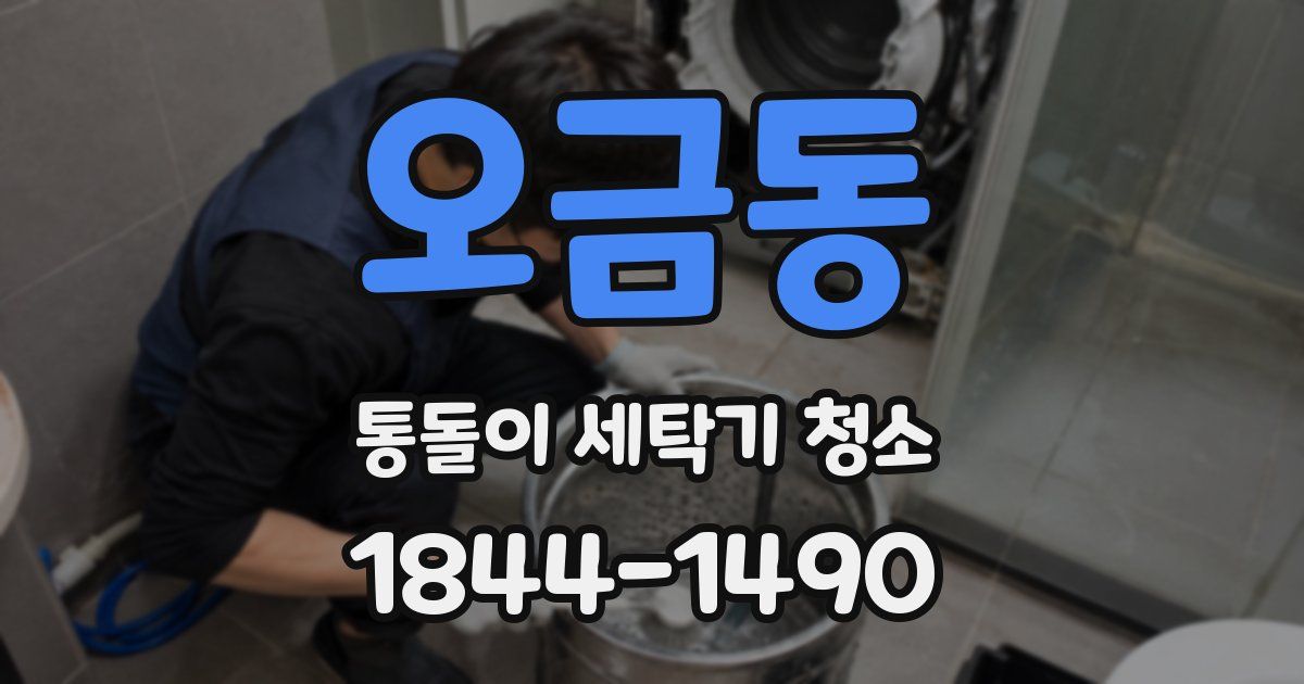 오금동 통돌이 세탁기 청소