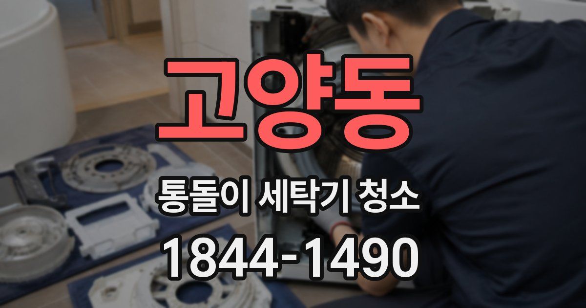 고양동 통돌이 세탁기 청소