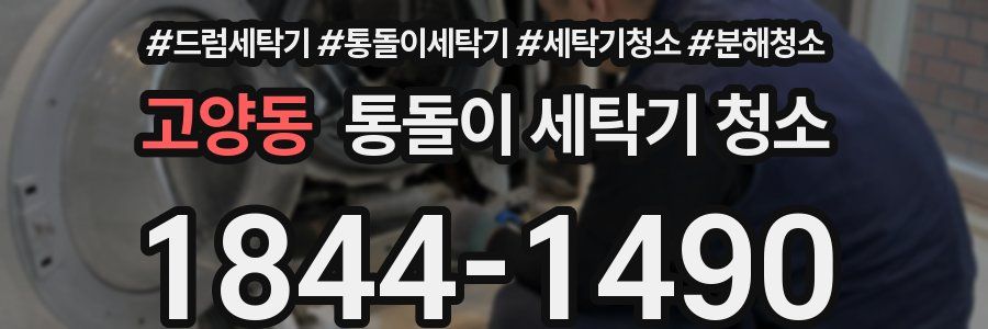 고양동 통돌이 세탁기 청소