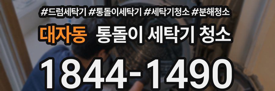 대자동 통돌이 세탁기 청소