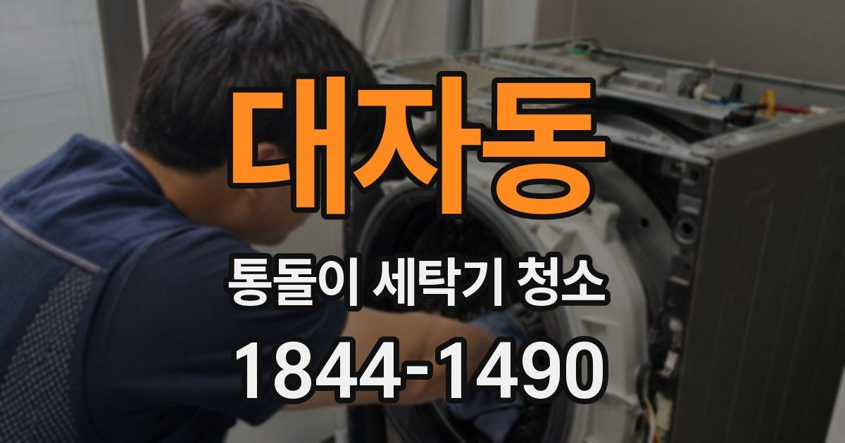 대자동 통돌이 세탁기 청소