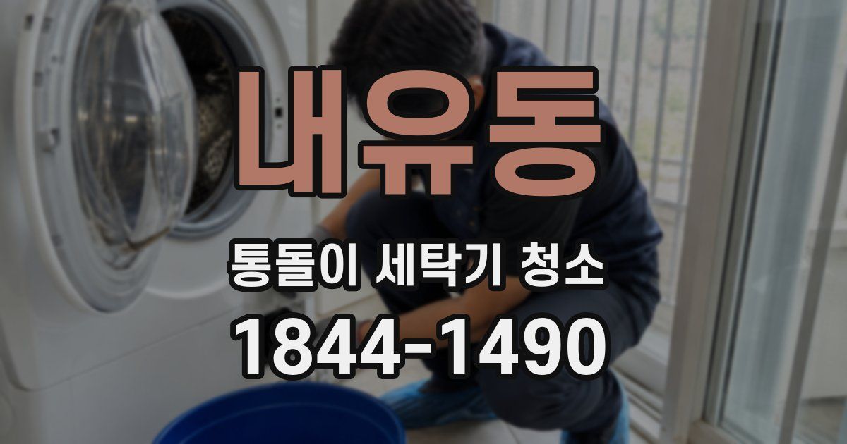 내유동 통돌이 세탁기 청소