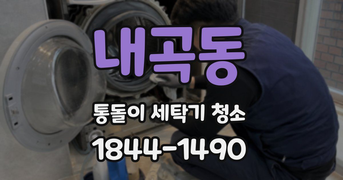 내곡동 통돌이 세탁기 청소