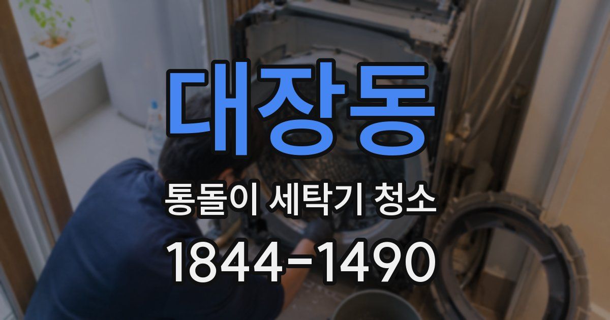 대장동 통돌이 세탁기 청소