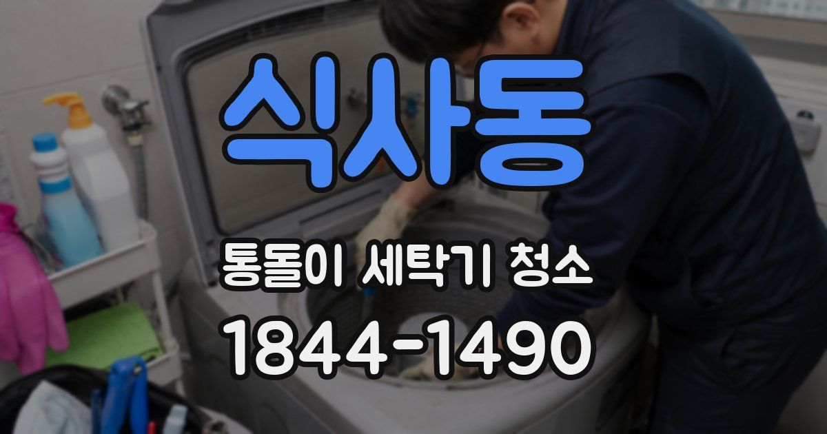 식사동 통돌이 세탁기 청소