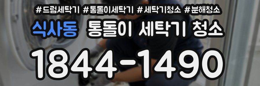 식사동 통돌이 세탁기 청소