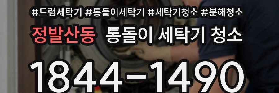 정발산동 통돌이 세탁기 청소