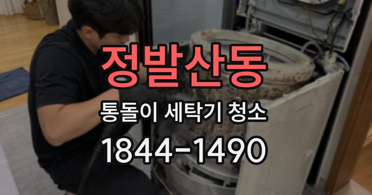 정발산동 통돌이 세탁기 청소