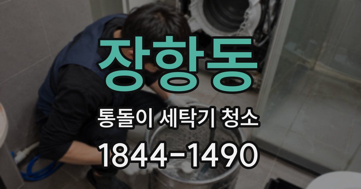 장항동 통돌이 세탁기 청소