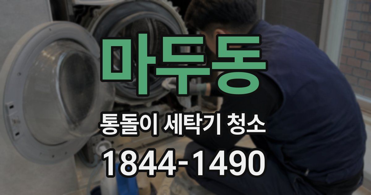 마두동 통돌이 세탁기 청소