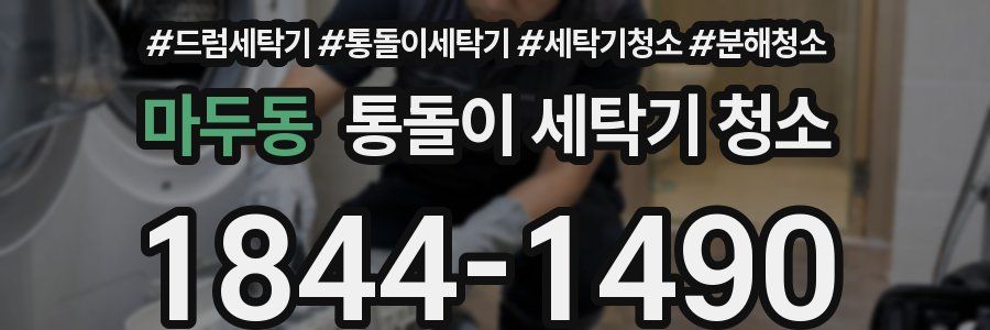 마두동 통돌이 세탁기 청소