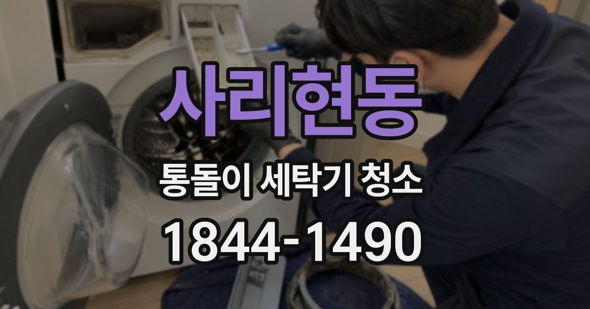 사리현동 통돌이 세탁기 청소