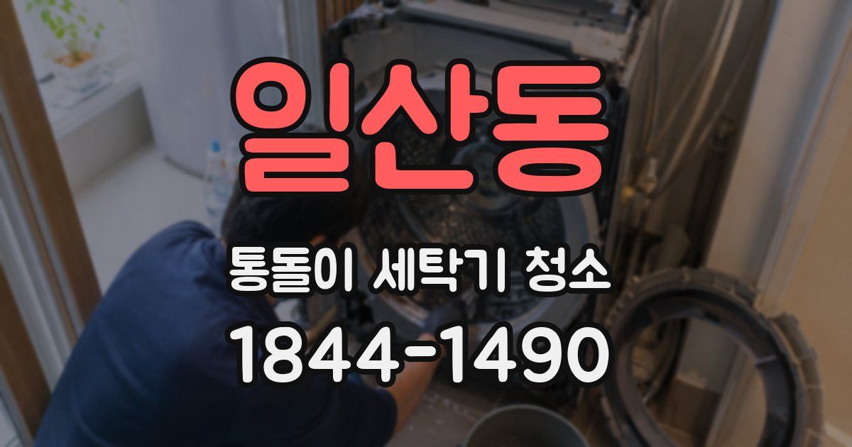 일산동 통돌이 세탁기 청소