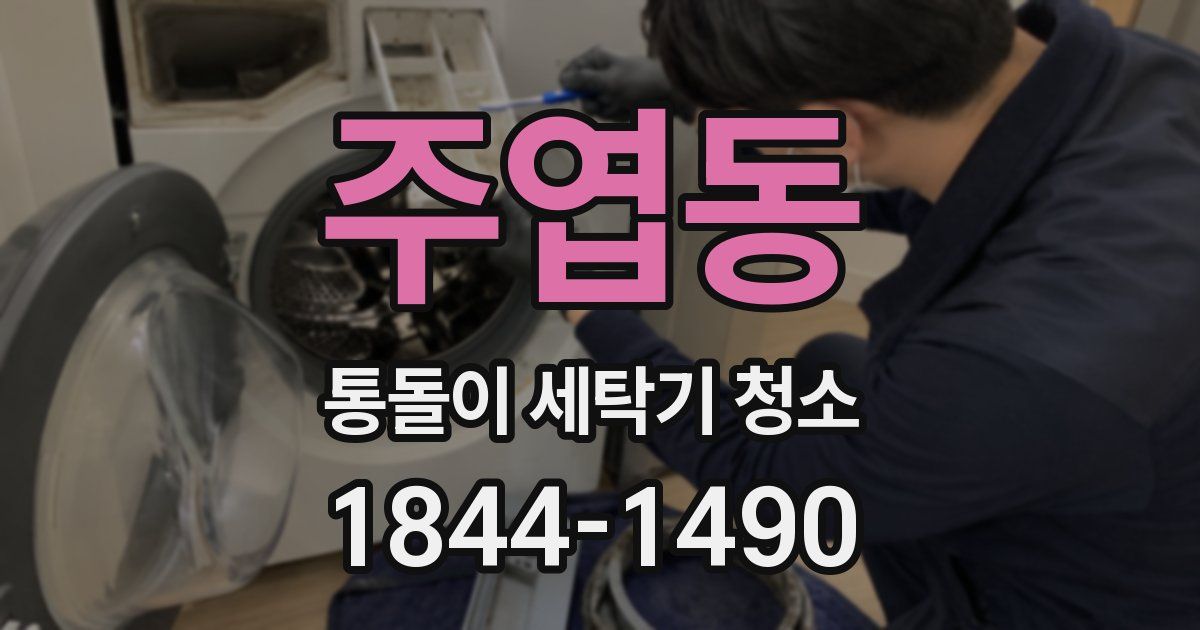 주엽동 통돌이 세탁기 청소