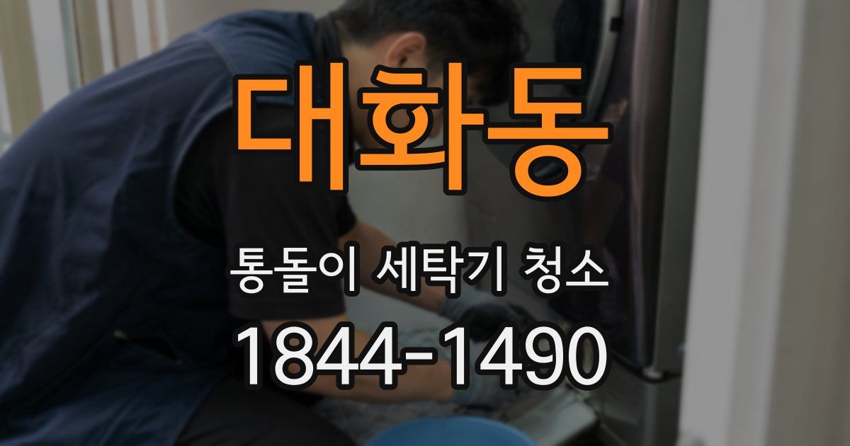 대화동 통돌이 세탁기 청소