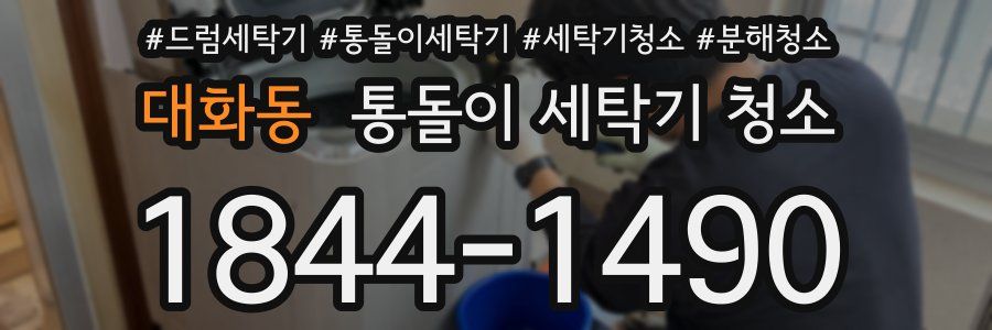 대화동 통돌이 세탁기 청소