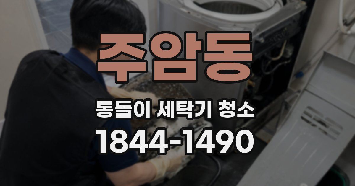 주암동 통돌이 세탁기 청소