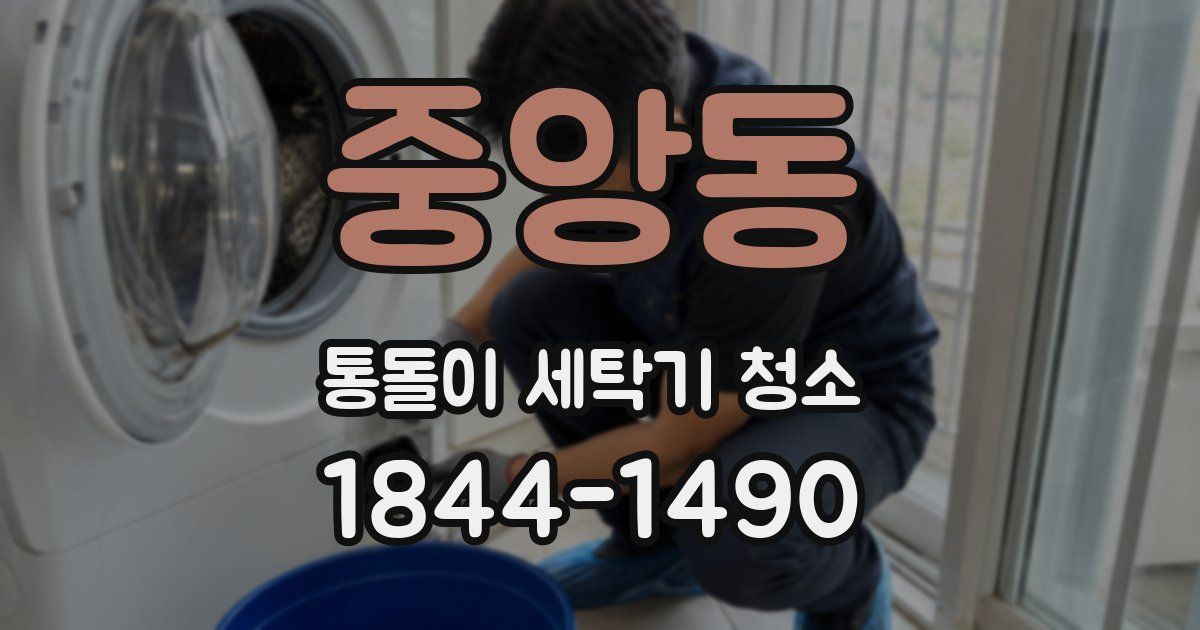 중앙동 통돌이 세탁기 청소