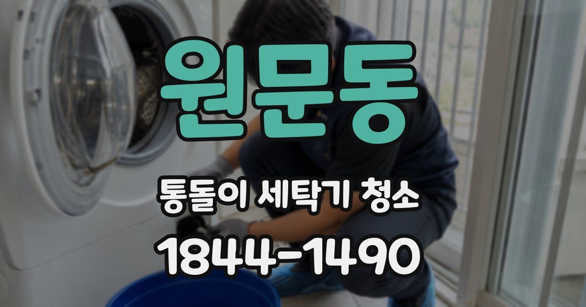 원문동 통돌이 세탁기 청소