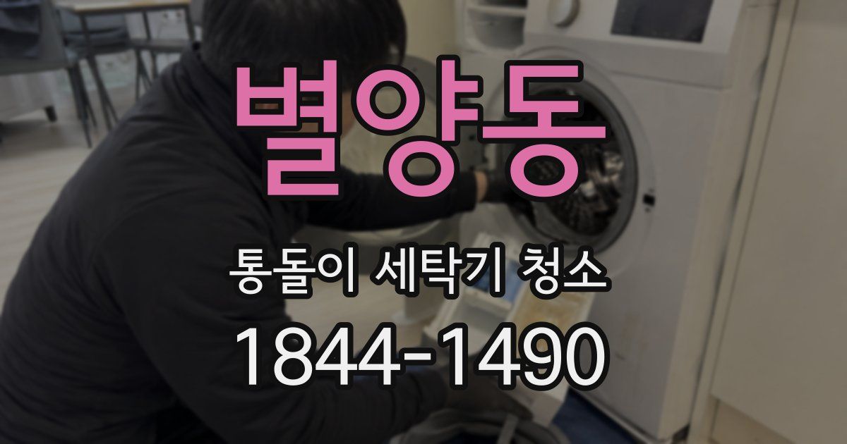 별양동 통돌이 세탁기 청소