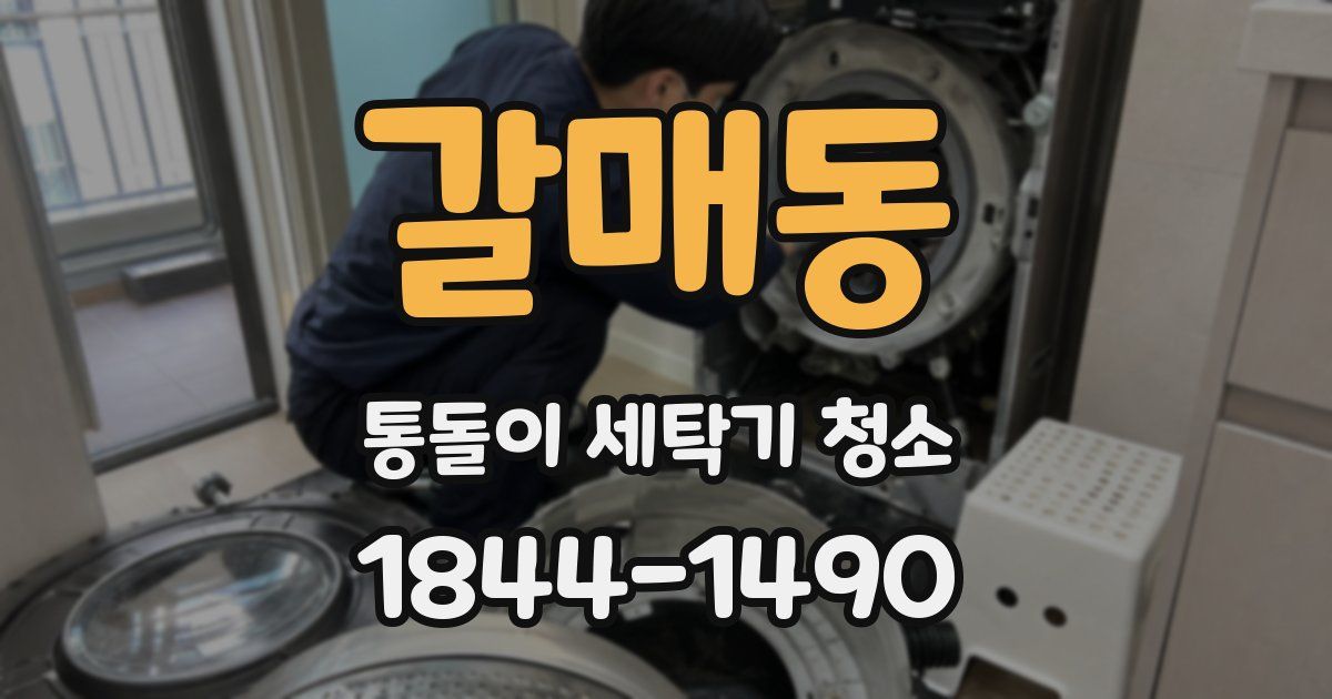 갈매동 통돌이 세탁기 청소