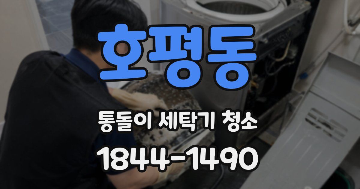 호평동 통돌이 세탁기 청소