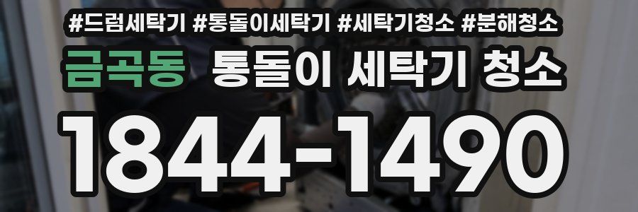 금곡동 통돌이 세탁기 청소