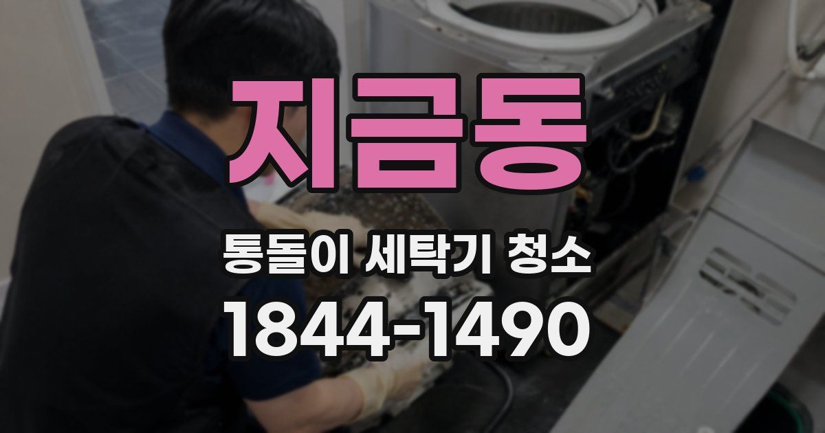 지금동 통돌이 세탁기 청소