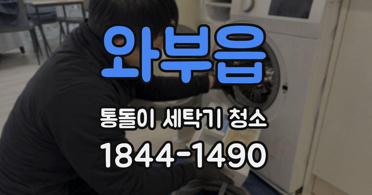 와부읍 통돌이 세탁기 청소