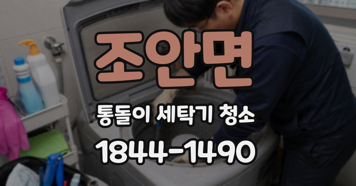 조안면 통돌이 세탁기 청소