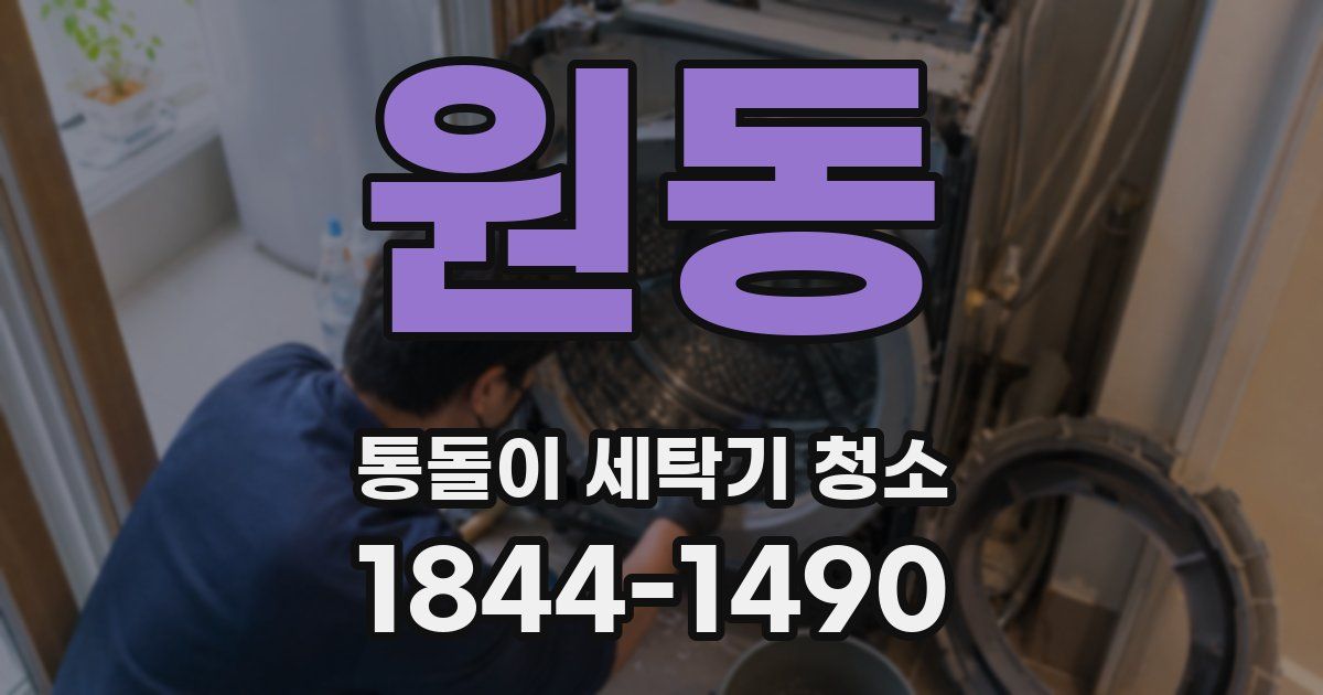 원동 통돌이 세탁기 청소