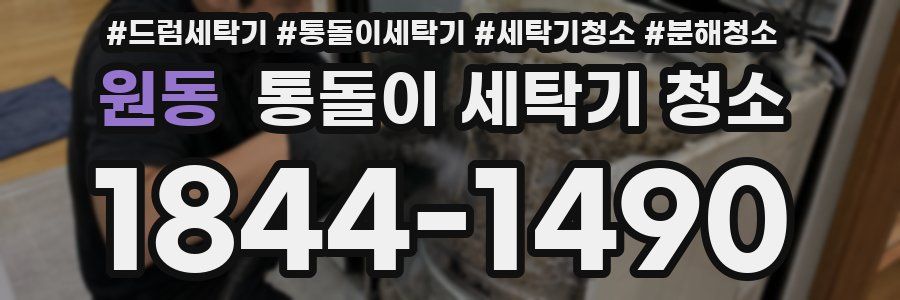 원동 통돌이 세탁기 청소