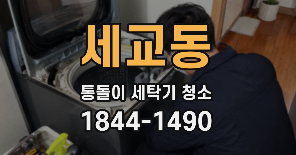 세교동 통돌이 세탁기 청소