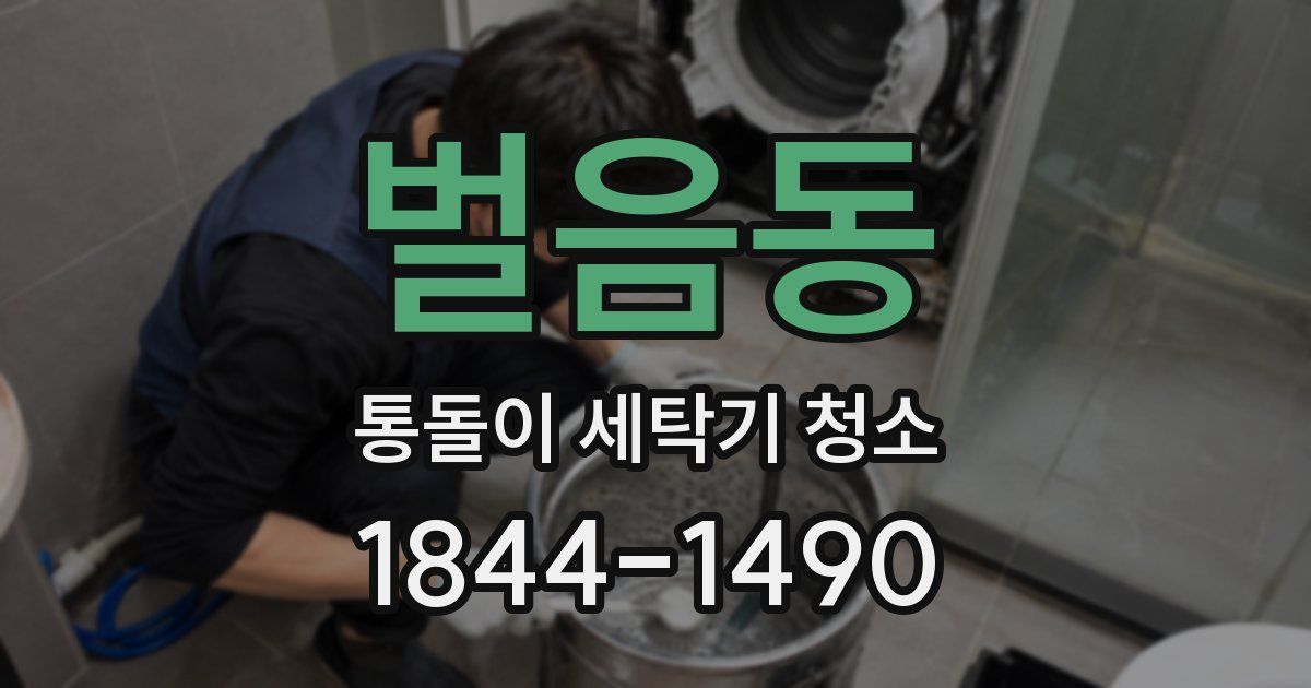 벌음동 통돌이 세탁기 청소