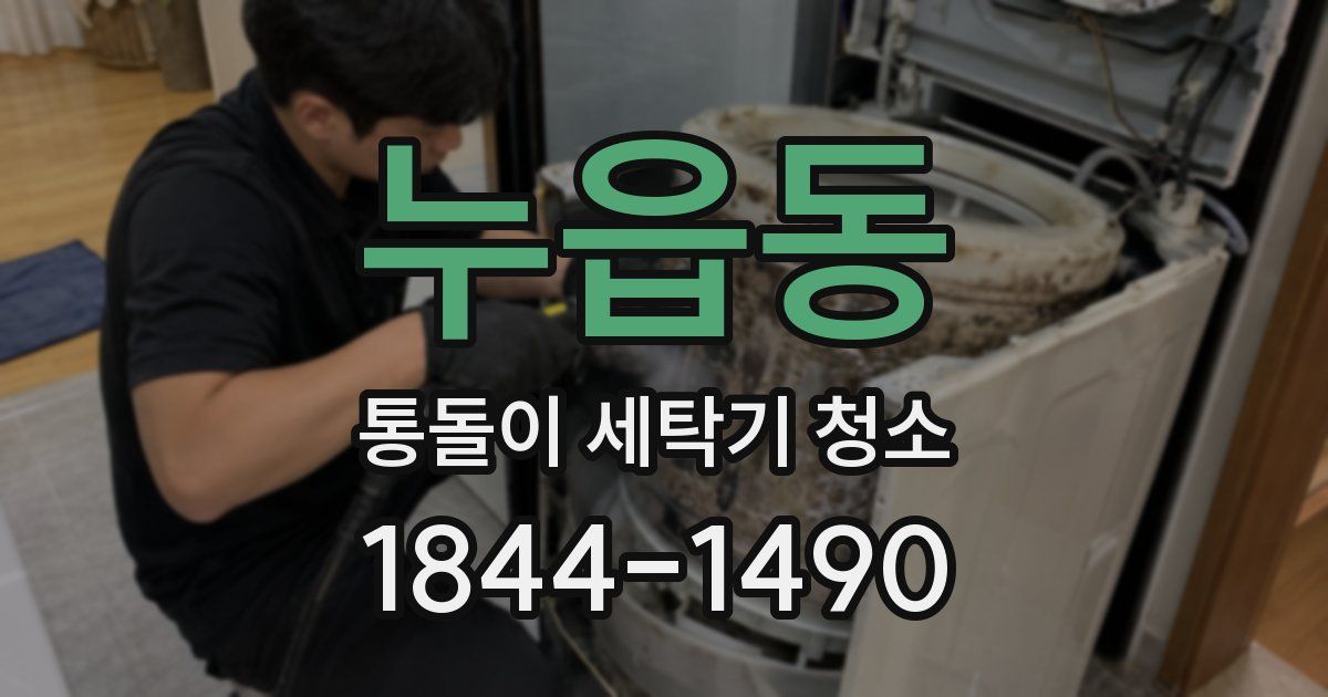 누읍동 통돌이 세탁기 청소
