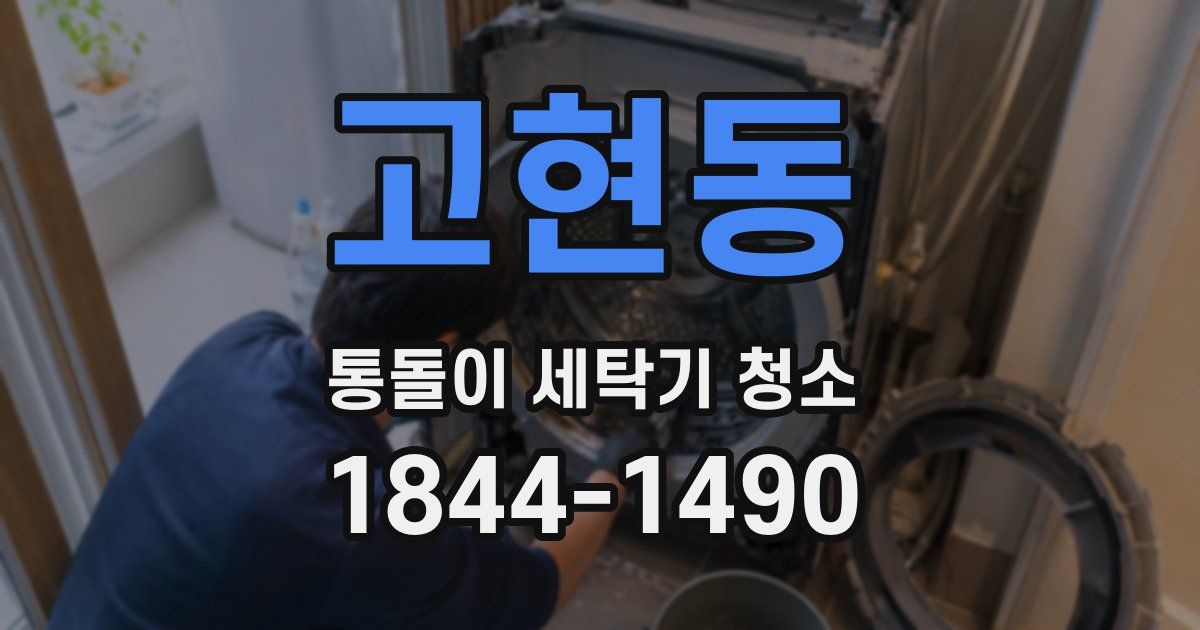 고현동 통돌이 세탁기 청소